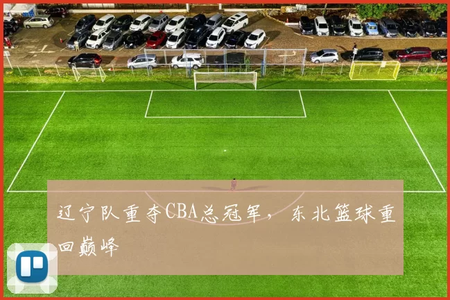 辽宁队重夺CBA总冠军,东北篮球重回巅峰