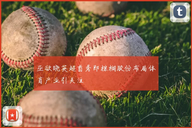 巫欲晓英超首秀即棕榈股份布局体育产业引关注