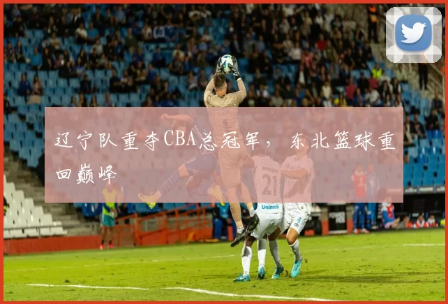 辽宁队重夺CBA总冠军,东北篮球重回巅峰