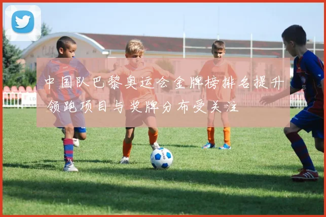 中国队巴黎奥运会金牌榜排名提升 领跑项目与奖牌分布受关注